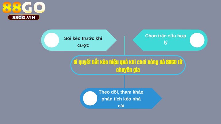Bí quyết bắt kèo hiệu quả khi chơi bóng đá 88GO từ chuyên gia